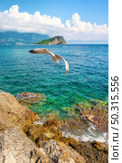 Budva on adriatic sea and Nicholas Island. Nicholas Island in Budva. Стоковое фото, агентство Ingram Publishing / Фотобанк Лори