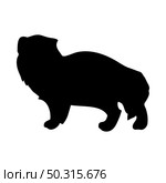 Arctic Fox silhouette. Smooth and clean lines. High detailed Arctic Fox silhouette. Vector Illustration.. wolves and martens silhouettes set. Стоковая иллюстрация, агентство Ingram Publishing / Фотобанк Лори