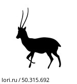 Chiru antelope silhouette. Smooth and clean lines. High detailed Chiru antelope silhouette. Vector Illustration.. deer and goats silhouettes set. Стоковая иллюстрация, агентство Ingram Publishing / Фотобанк Лори