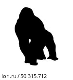 Gorilla Ape Silhouette. Smooth and clean lines. High detailed gorilla monkey silhouette. Vector Illustration.. apes silhouettes set. Стоковая иллюстрация, агентство Ingram Publishing / Фотобанк Лори