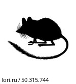 Marsupial Jerboa Silhouette. Smooth and clean lines. High detailed Marsupial Jerboa silhouette. Vector Illustration.. rodents silhouettes. Стоковая иллюстрация, агентство Ingram Publishing / Фотобанк Лори