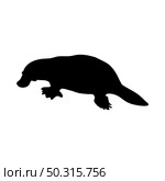 Platypus silhouette. Smooth and clean lines. High detailed Platypus silhouette. Vector Illustration.. beavers silhouettes set. Стоковая иллюстрация, агентство Ingram Publishing / Фотобанк Лори