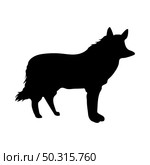 Red Wolf silhouette. Smooth and clean lines. High detailed Red Wolf silhouette. Vector Illustration.. wolves and martens silhouettes set. Стоковая иллюстрация, агентство Ingram Publishing / Фотобанк Лори