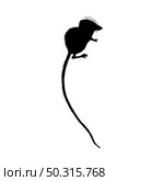 Tenrec Silhouette. Smooth and clean lines. High detailed Tenrec silhouette. Vector Illustration.. rodents silhouettes. Стоковая иллюстрация, агентство Ingram Publishing / Фотобанк Лори