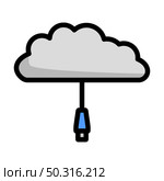 Network Cloud Icon. Editable Bold Outline With Color Fill Design. Vector Illustration. Стоковая иллюстрация, агентство Ingram Publishing / Фотобанк Лори