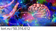 Nervous system neurology and brain nerve cells anatomy concept as human neuron function disorder symbol for multiple sclerosis or alzheimer disease or psychedelics science and with 3D illustration elements. Стоковое фото, агентство Ingram Publishing / Фотобанк Лори