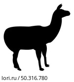 Silhouette alpaca llama lama guanaco black color vector illustration flat style simple image. Silhouette alpaca llama lama guanaco black color vector illustration flat style image. Стоковая иллюстрация, агентство Ingram Publishing / Фотобанк Лори