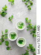 Herbal mint tea in small traditional chinese cups and fresh leaves, healthy antioxidant drink. Стоковое фото, агентство Ingram Publishing / Фотобанк Лори