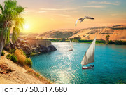 Birds over sailboats in Aswan at sunset, Egypt. Стоковое фото, агентство Ingram Publishing / Фотобанк Лори