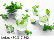 Mint, lime and cucumber refreshing infused detox cocktail with ice, light refreshment summer mocktail. Стоковое фото, агентство Ingram Publishing / Фотобанк Лори