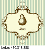 Icon Of Pear. Hand Drawn Sketch. Retro Vintage Design. Vector Illustration. Стоковая иллюстрация, агентство Ingram Publishing / Фотобанк Лори