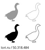Goose Gosling Geese Anser Gander silhouette grey black color vector illustration solid outline style simple image. Goose Gosling Geese Anser Gander silhouette grey black color vector illustration solid outline style image. Стоковая иллюстрация, агентство Ingram Publishing / Фотобанк Лори