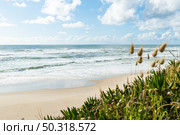 Landscape of Sao Pedro de Maceda beach. Ovar, Portugal. Стоковое фото, агентство Ingram Publishing / Фотобанк Лори