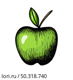 Icon Of Apple. Hand Drawn Sketch Design. Vector Illustration. Стоковая иллюстрация, агентство Ingram Publishing / Фотобанк Лори