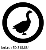 Goose Gosling Geese Anser Gander silhouette in circle round black color vector illustration solid outline style simple image. Goose Gosling Geese Anser Gander silhouette in circle round black color vector illustration solid outline style image. Стоковая иллюстрация, агентство Ingram Publishing / Фотобанк Лори