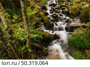 Beautiful water stream in Gresso river Portugal. Long exposure smooth effect. Стоковое фото, агентство Ingram Publishing / Фотобанк Лори