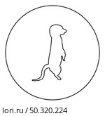 Meerkat in pose Suricata Suricatta  silhouette in circle round black color vector illustration contour outline style image simple image. Meerkat in pose Suricata Suricatta silhouette in circle round black color vector illustration contour outline style image . Стоковая иллюстрация, агентство Ingram Publishing / Фотобанк Лори
