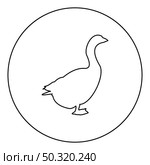 Goose Gosling Geese Anser Gander  silhouette in circle round black color vector illustration contour outline style image simple image. Goose Gosling Geese Anser Gander silhouette in circle round black color vector illustration contour outline style image . Стоковая иллюстрация, агентство Ingram Publishing / Фотобанк Лори