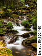 Beautiful water stream in Gresso river Portugal. Long exposure smooth effect. Стоковое фото, агентство Ingram Publishing / Фотобанк Лори