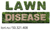 Lawn disease symbol as grub damage as chinch larva damaging grass roots causing a brown patch and drought area in the turf as a composite image on a white background. Стоковое фото, агентство Ingram Publishing / Фотобанк Лори