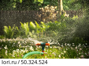 Watering garden with hose at heat summer. Close up. Стоковое фото, фотограф Светлана Лажко / Фотобанк Лори
