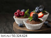 front view view tasty cupcake cutting board. Стоковое фото, агентство Ingram Publishing / Фотобанк Лори
