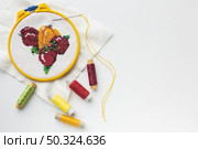 fruit sewed design with sewing threads and copy space. Стоковое фото, агентство Ingram Publishing / Фотобанк Лори