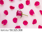 rose petals valentines. Resolution and high quality beautiful photo. rose petals valentines. High quality and resolution beautiful photo concept. Стоковое фото, агентство Ingram Publishing / Фотобанк Лори
