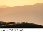 Silhouette of herdsman with herd of sheep, dogs on the hill, mountains, grass and orange sky with golden sunlight at sunset in autumn. Landscape with shepherd herding sheep across the pasture in fall. Стоковое фото, агентство Ingram Publishing / Фотобанк Лори