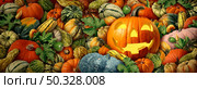 Jack-O-Lantern pumpkin as a happy Halloween celebration background with fresh harvest farm squash and colorful thanksgiving seasonal autumn squashes and fall pumpkins as a composite. Стоковое фото, агентство Ingram Publishing / Фотобанк Лори