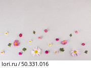 bright flowers leaves scattered table. High resolution photo. bright flowers leaves scattered table. High quality photo. Стоковое фото, агентство Ingram Publishing / Фотобанк Лори