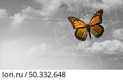 Conceptual trapped concept or Danger and risk as a business idea of feeling imprisoned and fear or despair as a butterfly caught in a spider web in a 3D illustration style. Стоковое фото, агентство Ingram Publishing / Фотобанк Лори