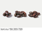 Small heaps of peeled natural beans of Theobroma cacao tree composed in row on white background. Few piles of raw organic cacao beans. Стоковое фото, агентство Ingram Publishing / Фотобанк Лори