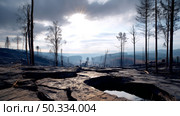 There is a lot of garbage in the forest. The concept of human pollution of forests and nature. A terrible dump in the woods. Стоковое AI-изображение, AI-художник ALLA YURTAYEVA / Фотобанк Лори
