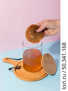 composition with delicious kombucha drink. Стоковое фото, агентство Ingram Publishing / Фотобанк Лори