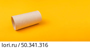 empty roll toilet paper with copy space. Стоковое фото, агентство Ingram Publishing / Фотобанк Лори