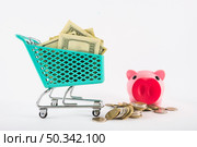 small grocery cart with money piggy bank. Стоковое фото, агентство Ingram Publishing / Фотобанк Лори