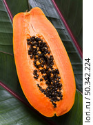 top view exotic papaya fruit ready be served. Стоковое фото, агентство Ingram Publishing / Фотобанк Лори
