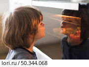 close up kid looking oven. Стоковое фото, агентство Ingram Publishing / Фотобанк Лори
