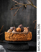 front view round chocolate cake stand. Стоковое фото, агентство Ingram Publishing / Фотобанк Лори