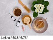 wooden brush honey oats himalayan rock salt essential oil bottle with primula flowers vase concrete background. Стоковое фото, агентство Ingram Publishing / Фотобанк Лори