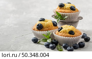 high view tasty cupcake with blueberry forest fruit. Стоковое фото, агентство Ingram Publishing / Фотобанк Лори