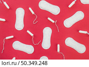 top view tampons sanitary towels. Стоковое фото, агентство Ingram Publishing / Фотобанк Лори