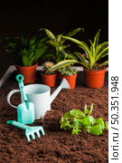 still life various plant soil. Стоковое фото, агентство Ingram Publishing / Фотобанк Лори