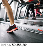 woman treadmill. Стоковое фото, агентство Ingram Publishing / Фотобанк Лори