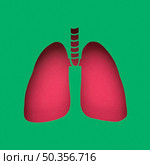 lungs made out paper. Стоковое фото, агентство Ingram Publishing / Фотобанк Лори