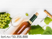 oblique brandy wine vines concept. Стоковое фото, агентство Ingram Publishing / Фотобанк Лори