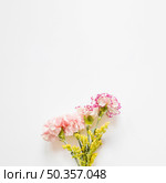 pretty carnations yellow flowers. Стоковое фото, агентство Ingram Publishing / Фотобанк Лори