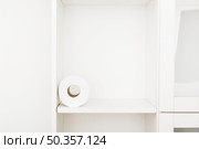 shelf with toilet paper roll. Редакционное фото, агентство Ingram Publishing / Фотобанк Лори