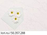 three chamomiles envelope. Стоковое фото, агентство Ingram Publishing / Фотобанк Лори